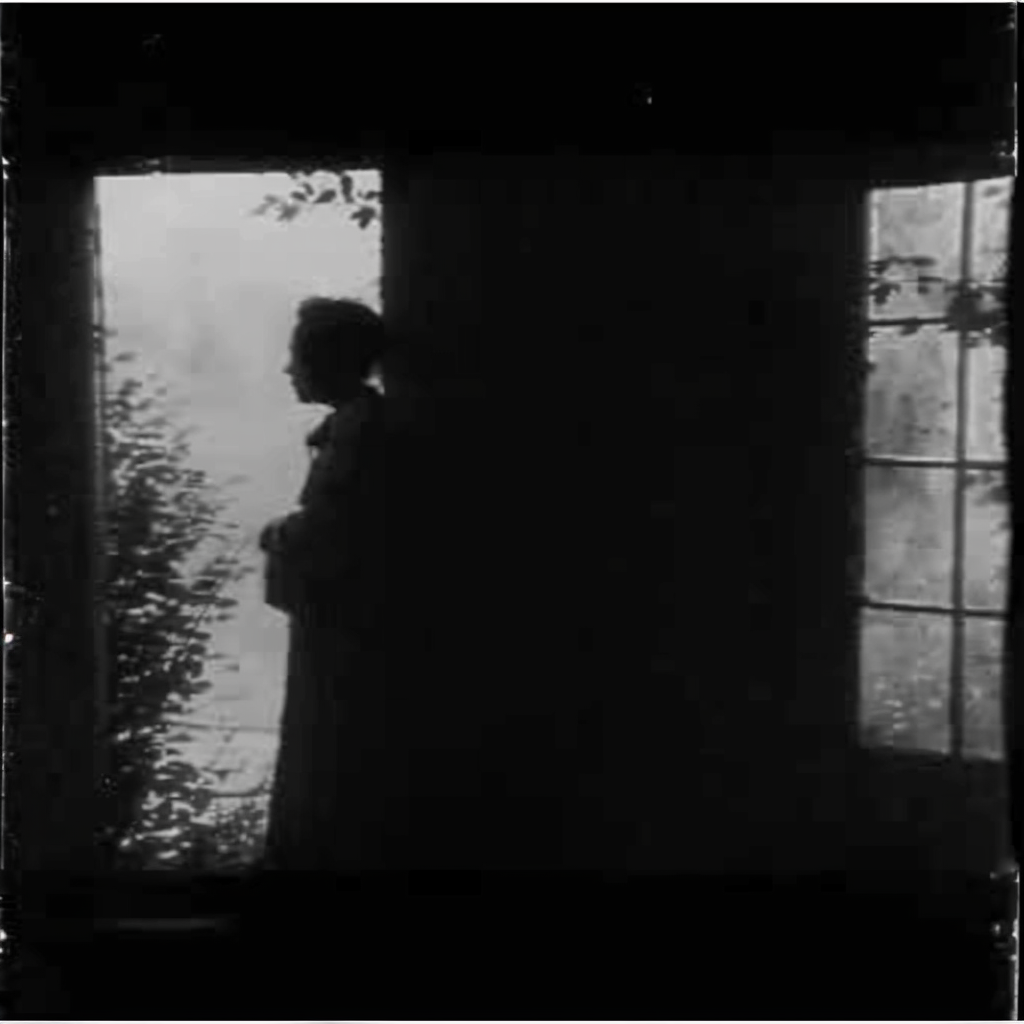 (ITA) Nei Giardini del Silenzio is a collection of electronic music from the personal experience of silence. (ENG) Nei Giardini del Silenzio è una raccolta di musica elettronica nata dall'esperienza personale del silenzio.